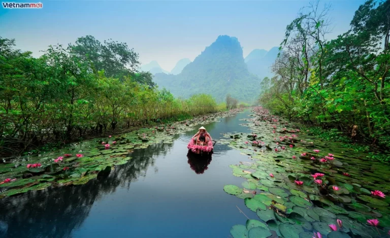 Tour Tâm Linh: Chùa Hương - Động Hương Tích