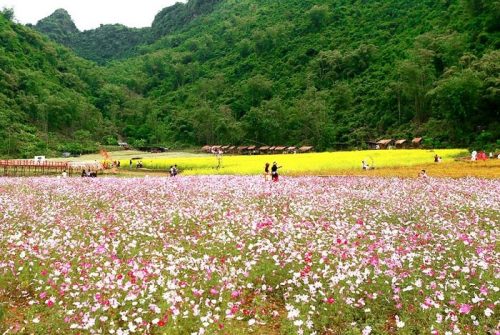 Tour Hà Giang - Dốc Chín Khoanh - Làng văn hóa Lũng Cẩm - Sông Nho Quế