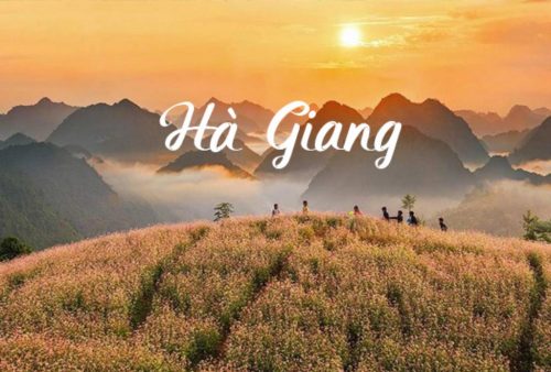 Tour Hà Giang: Quản Bạ - Yên Minh - Đồng Văn - Mã Pí Lèng - Du thuyền trên sông Nho Quế