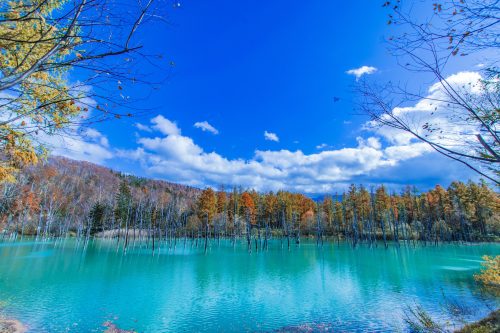 Tour Nhật Bản: Tokyo - Asahikawa – Sapporo – Otaru