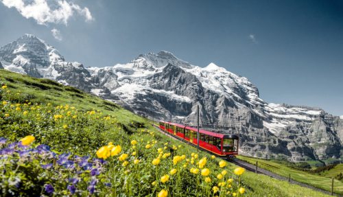 Tour Châu Âu (Tết Nguyên Đán): Đức – Luxembourg - Pháp – Thụy Sĩ