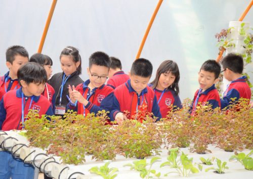 Tour trải nghiệm: Tập làm nhà thực vật học - Khu sinh thái Giáo dục V-eco