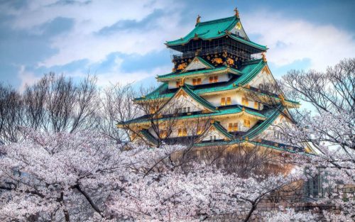 Tour Nhật Bản - Hoa Anh Đào: Osaka - Nagoya - Kyoto – Núi Phú Sĩ - Tokyo