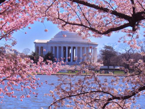 Tour Hoa Kỳ (2 bờ Đông - Tây): New York - Philadenphia Washington DC - LasVegas - Los Angeles - San Diego