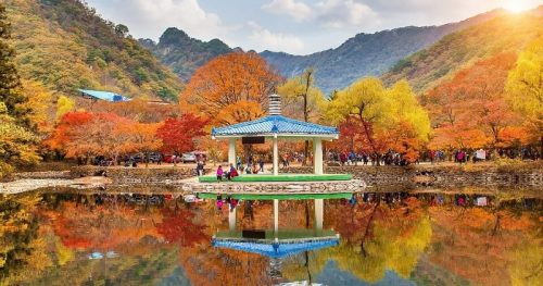Tour Hàn Quốc: Seoul – Nami Island – Everland (5N4Đ)