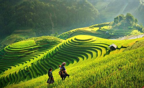 Tour HÀ NỘI – HÒA BÌNH – MỘC CHÂU – ĐIỆN BIÊN – SAPA - HÀ NỘI