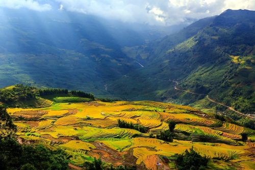 Tour Miền Bắc: Hạ Long Bay - Hạ Long Park - Sa Pa - Fansipan