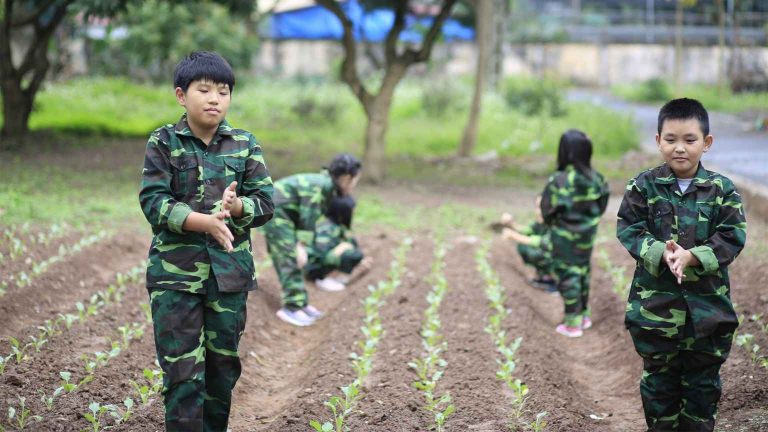Trại hè quân đội: Sao chiến sĩ