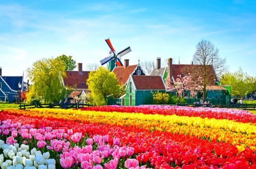 Tour Châu Âu (Tết Nguyên Đán): Đức - Luxembourg - Pháp - Bỉ - Hà Lan - Đức