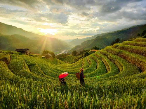 Hà Nội - Mù Cang Chải - Ngọc Chiến - Tà Xùa