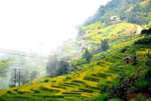 Hà Nội - Ngải Thầu - Y Tý - Bắc Hà
