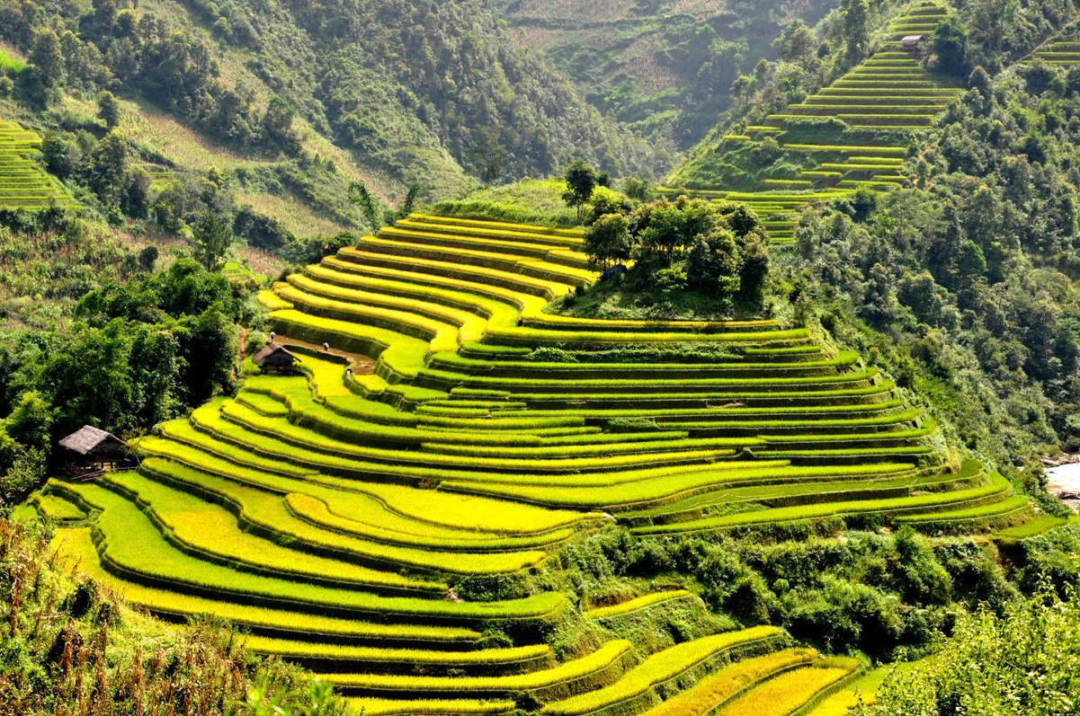 Kinh nghiệm du lịch Tú Lệ Yên Bái - Nàng thơ của vùng cao Tây Bắc