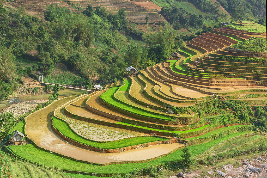 Tour Mù Cang Chải - du lịch mù cang chải - ruộng bậc thang mù cang chải - tour mù cang chải 2n1d