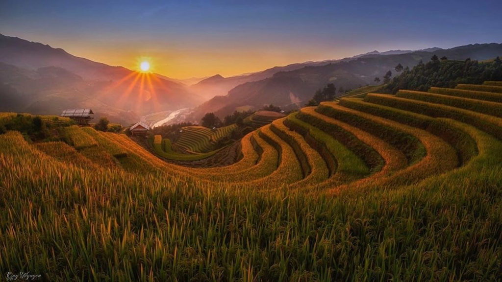 Tour du lịch Mù Cang Chải - đồi Móng Ngựa nổi tiếng
