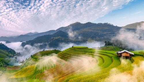 Tour Mù Cang Chải - du lịch mù cang chải - ruộng bậc thang mù cang chải - tour mù cang chải 2n1d
