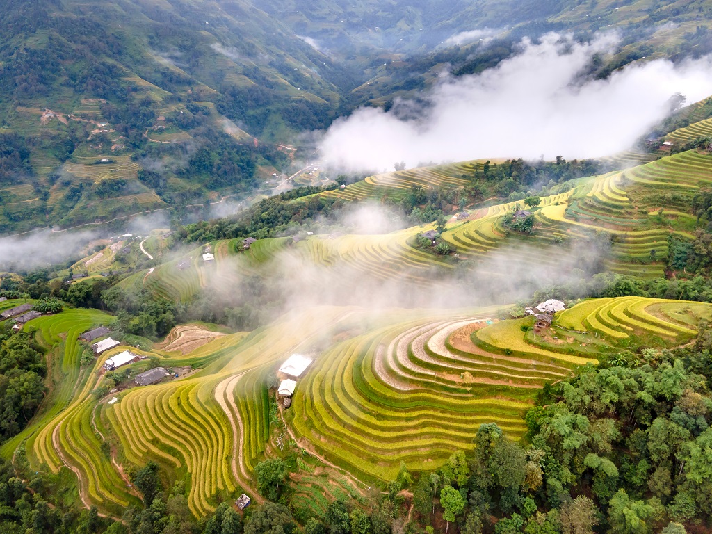 Ruộng bậc thang Hà Giang mùa lúa chín vàng óng