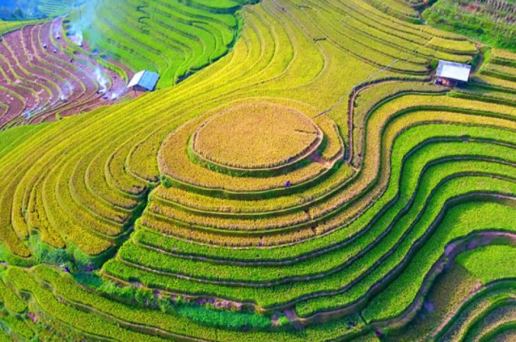 Tour Mù Cang Chải - du lịch mù cang chải - ruộng bậc thang mù cang chải - tour mù cang chải 2n1d
