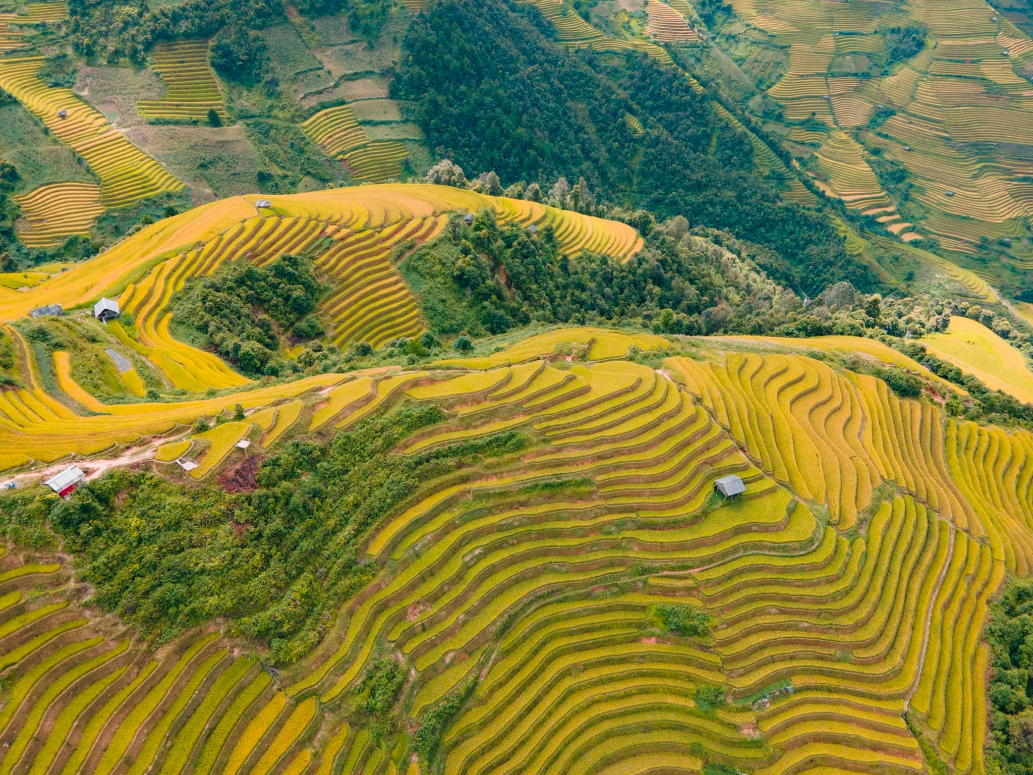 Ruộng bậc thang Mù Cang Chải - tuyệt tác của bàn tay lao động con người tạo ra