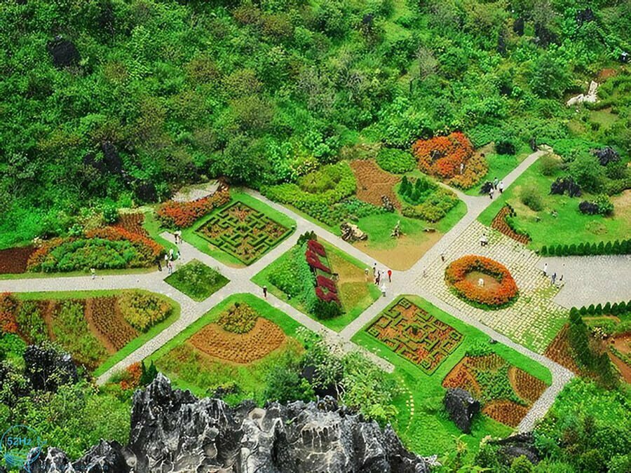 Sapa: Sinh Thái Hàm Rồng