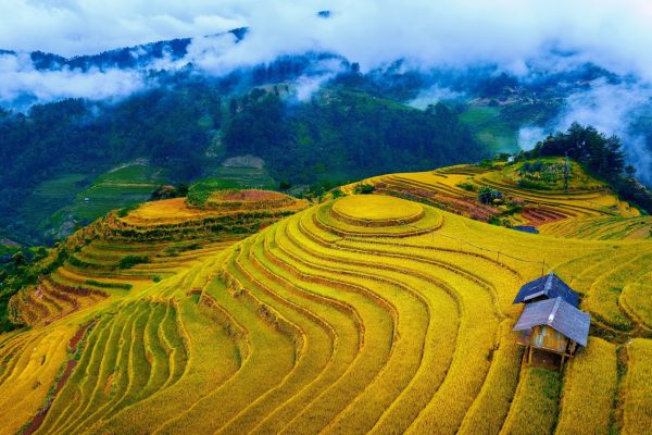 Du lịch Mù Cang Chải
