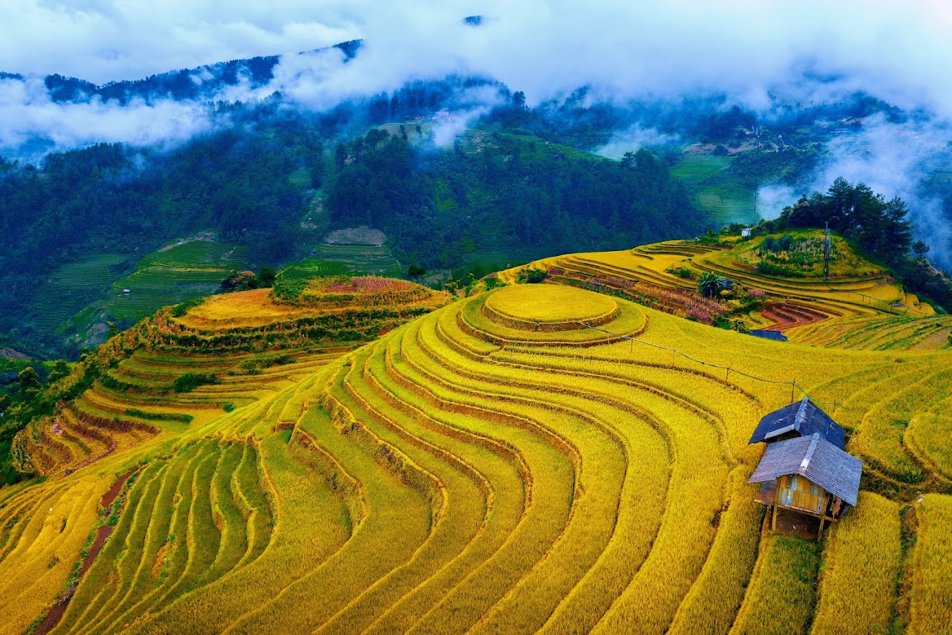 Du lịch Mù Cang Chải