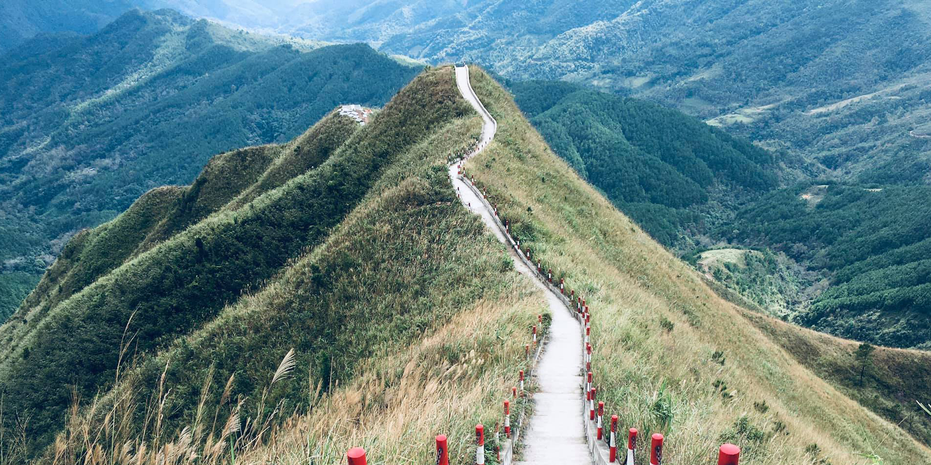 Cưỡi sống lưng khủng long" ngắm mùa vàng Bình Liêu