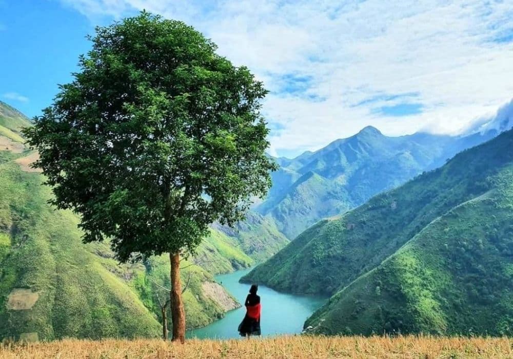 Cây Cô Đơn Tà Xùa – Tour Săn Mây Tà Xùa