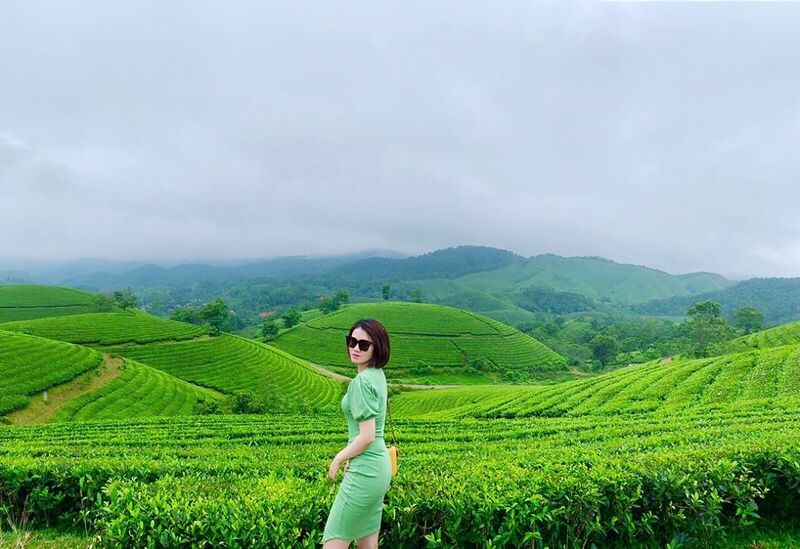 Đồi chè Thanh Sơn Phú Thọ - Tour Săn Mây Tà Xùa