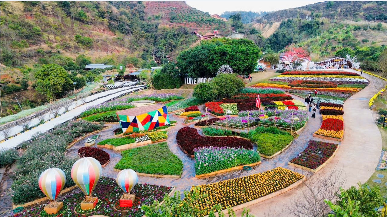 Happy Land Mộc Châu - Tour săn mây Tà Xùa - Mộc Châu