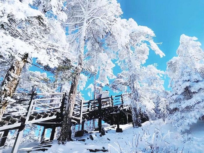 Tour Hà Nội Côn Minh Kiệu Tử Sơn 4N4Đ 24H Travel