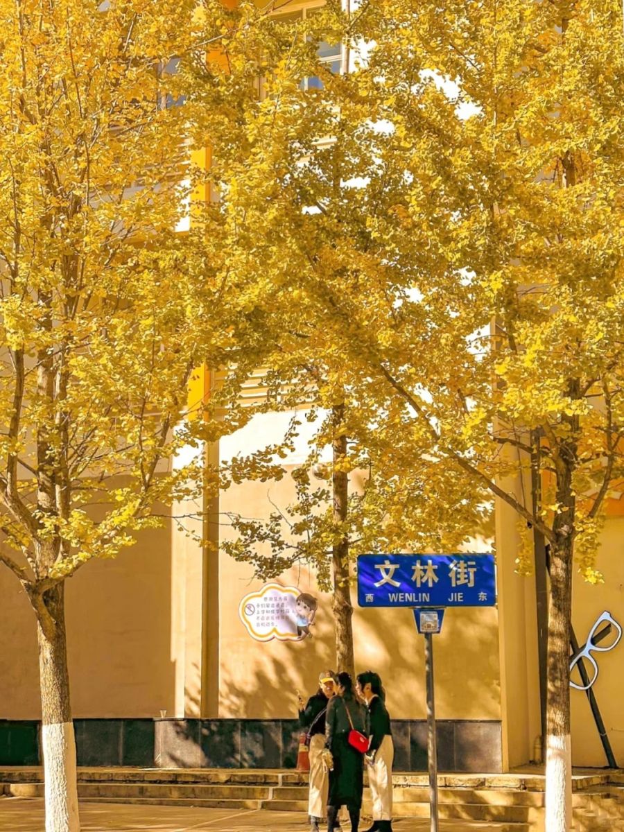 Con đường lá vàng - Tour Hà Nội Côn Minh Kiệu Tử Sơn 4N4Đ 24H Travel