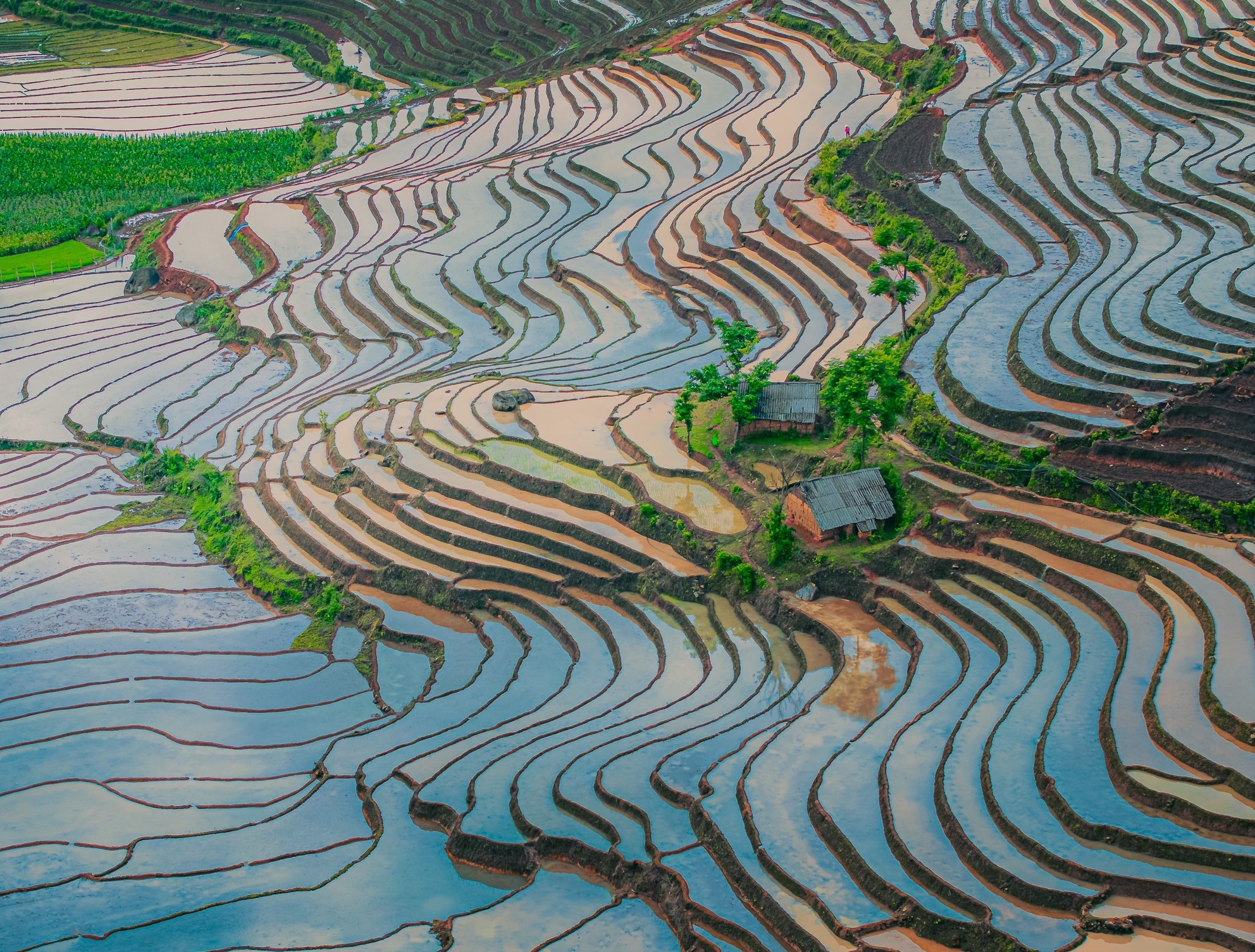 Ruộng bậc thang Y Tý mùa nước đổ lấp loáng đẹp như tranh